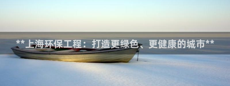 彩名堂官方软件下载：**上海环保工程