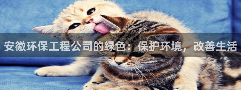 彩名堂手机客户端官网：安徽环保工程公