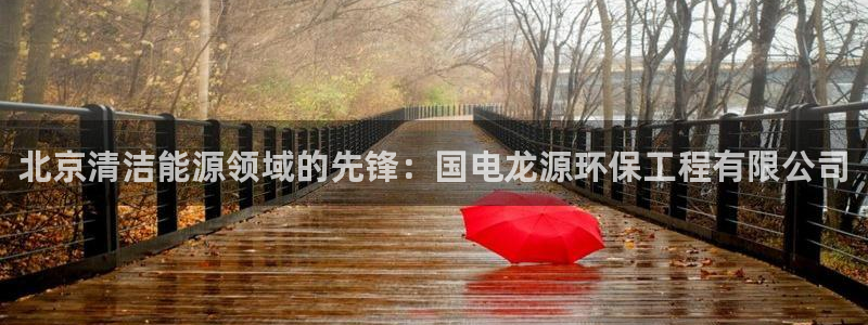 彩名堂客服：北京清洁能源领域的先锋：