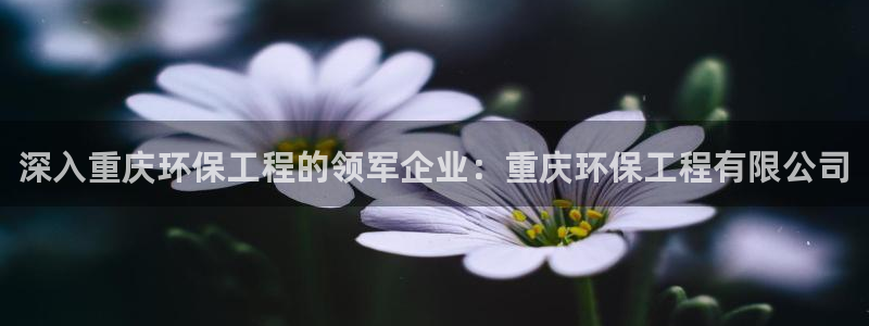 彩名堂：深入重庆环保工程的领军企业：
