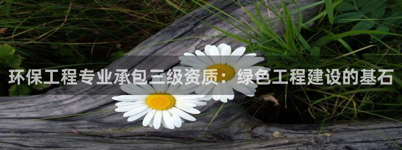 彩名堂免费计划官网5.0版下载链接：