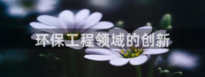 彩名堂还可以用吗：环保工程领域的创新