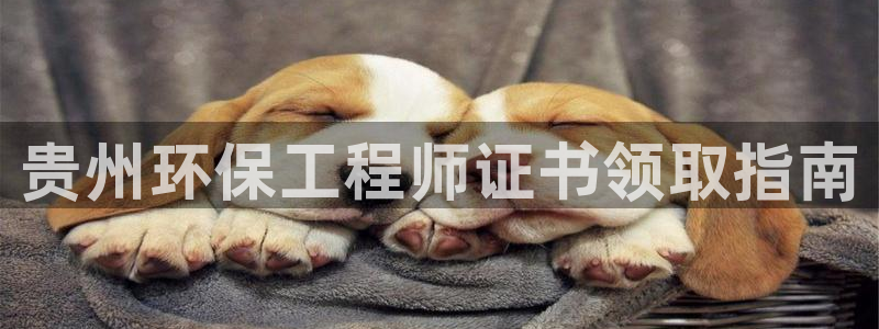 彩名堂官网客户端：贵州环保工程师证书