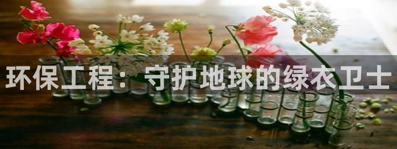 彩名堂免费计划5.0使用方法：环保工
