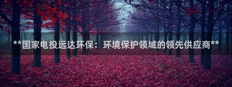 彩名堂最新计划app下载：**国家电投远达环保：环境保护领域的领先供应商**