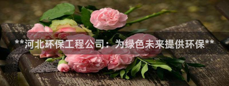彩名堂预测软件与分析：**河北环保工