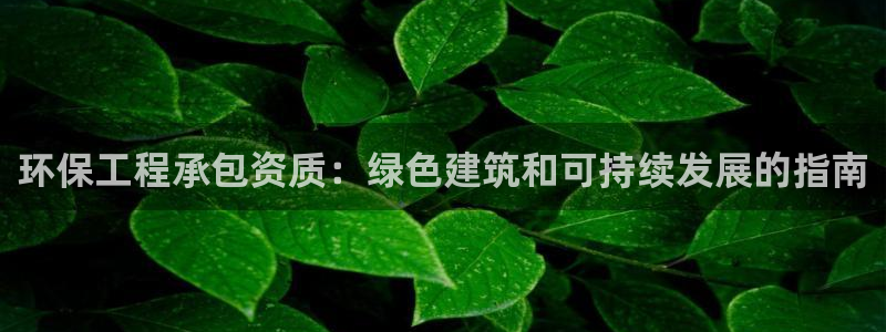 彩名堂975新版本：环保工程承包资质