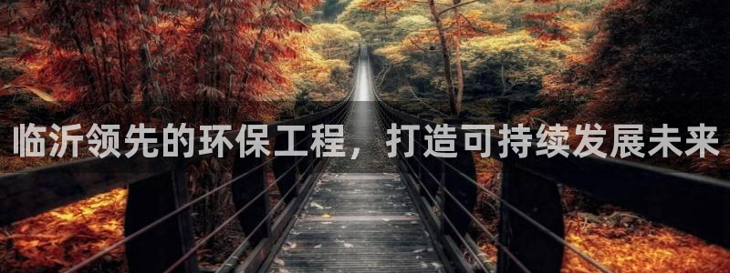 彩名堂客户:临沂领先的环保工程,打造