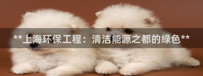 彩名堂官网在线计划怎么不更新了：**