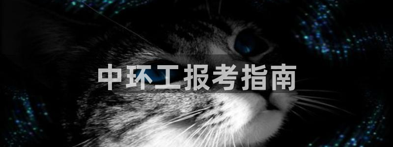 彩名堂5.0!：中环工报考指南