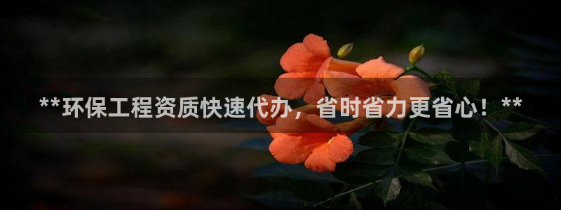 彩名堂客服：**环保工程资质快速代办