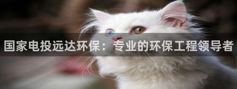彩名堂5.0计划：国家电投远达环保：