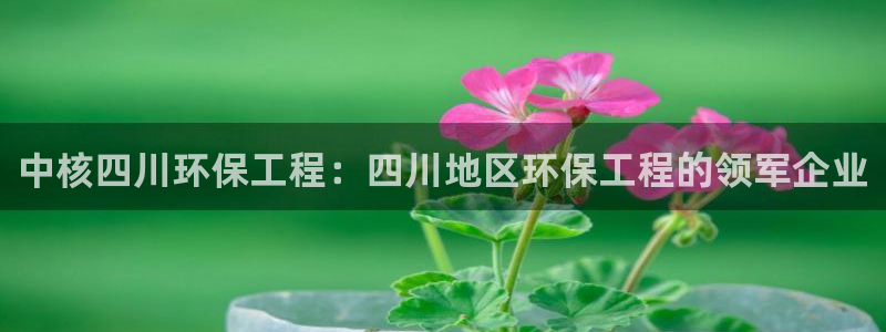 彩名堂彩：中核四川环保工程：四川地区