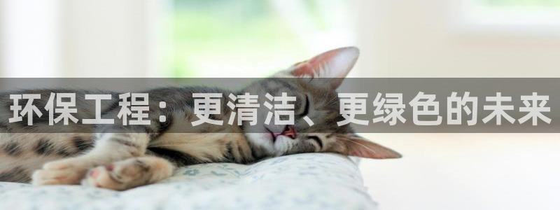 彩名堂为啥不准了乱变：环保工程：更清洁、更绿色的未来