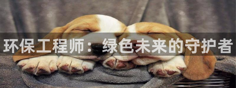 彩名堂免费计划官网怎么进不去了：环保工程师：绿色未来的守护者
