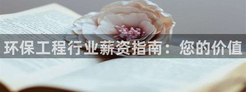 彩名堂全天计划：环保工程行业薪资指南