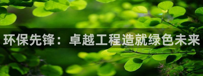 彩名堂官方平台：环保先锋：卓越工程造
