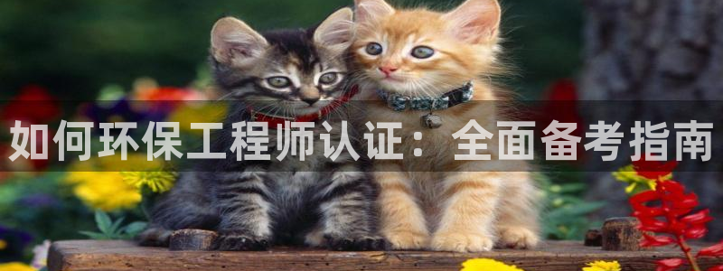 彩名堂在线下载：如何环保工程师认证：