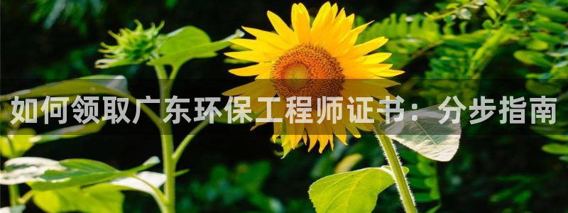 彩名堂免费计划官网怎么进不去了呀：如何领取广东环保工程师证书：分步指南
