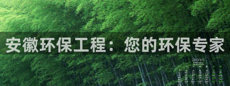 彩名堂苹果客户端怎么下载：安徽环保工程：您的环保专家