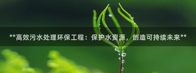 彩名堂.netnet：**高效污水处