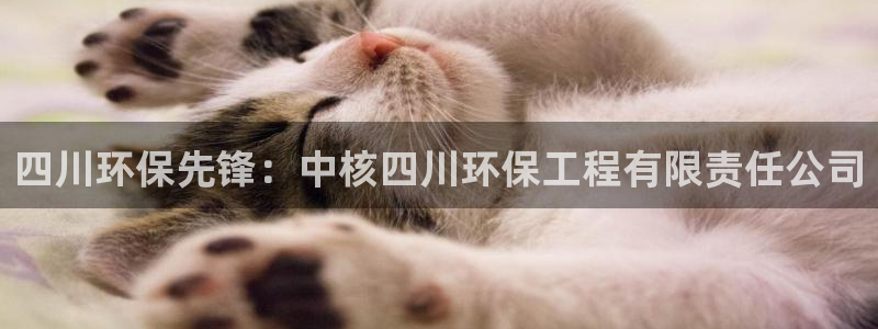 彩名堂客户端官网：四川环保先锋：中核四川环保工程有限责任公司