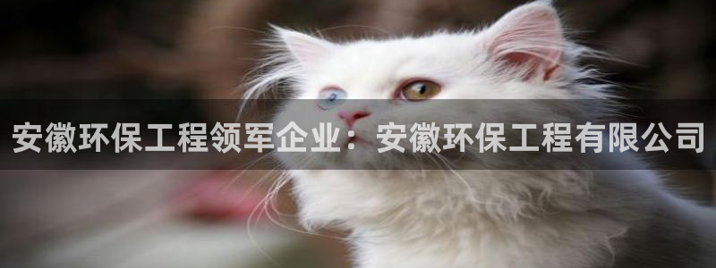 彩名堂：安徽环保工程领军企业：安徽环