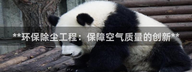 彩名堂手机版官网：**环保除尘工程：