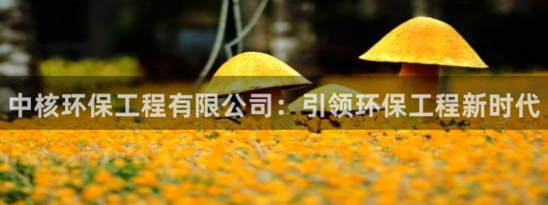 彩名堂免费计划软件下载：中核环保工程