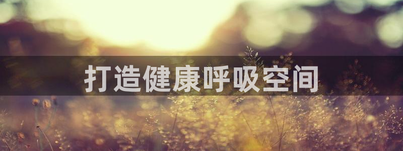 彩名堂双彩网：打造健康呼吸空间