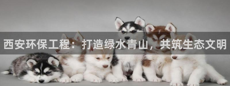 彩名堂上推荐的几个平台怎样：西安环保