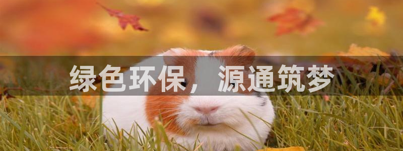 彩名堂计划怎么看：绿色环保，源通筑梦