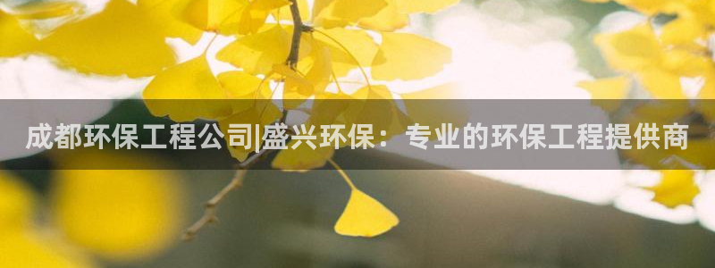彩名堂APP下载：成都环保工程公司|