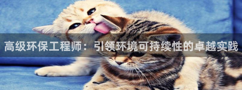 彩名堂5.0计划：高级环保工程师：引