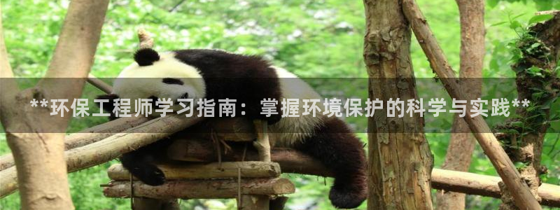彩名堂使用方法和用量：**环保工程师