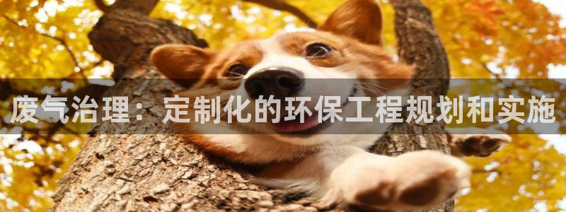 彩名堂好用还是千里马好用一点：废气治