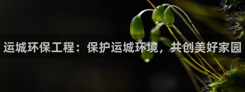 彩名堂一直不出结果怎么回事：运城环保