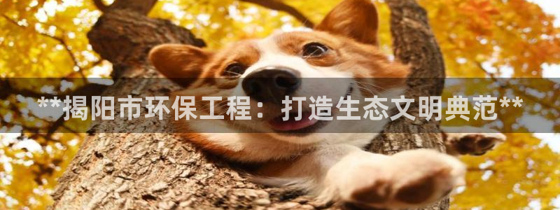 彩名堂app官方网：**揭阳市环保工