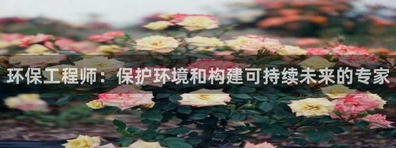 彩名堂4.3：环保工程师：保护环境和
