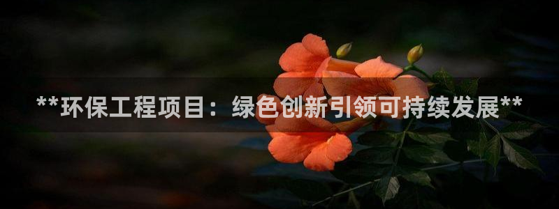 彩名堂50版本计划：**环保工程项目：绿色创新引领可持续发展**