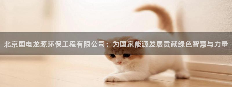 彩名堂预测软件与分析：北京国电龙源环