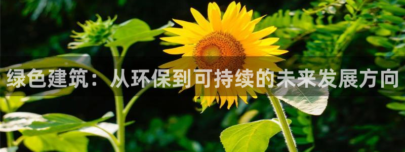彩名堂移动客户端怎么下载：绿色建筑：