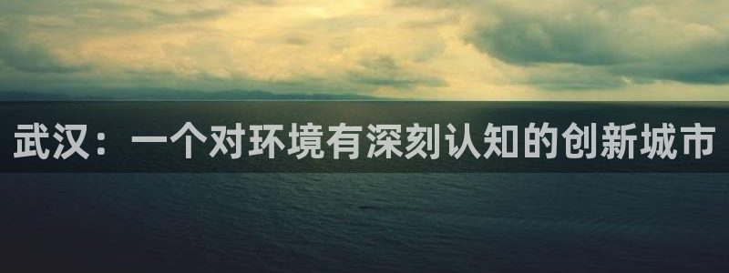 彩名堂免费计划官网5.0.0：武汉：一个对环境有深刻认知的创新城市