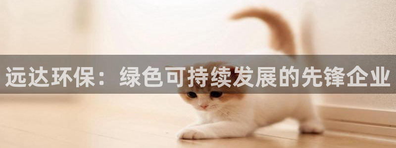 彩名堂预测网站：远达环保：绿色可持续