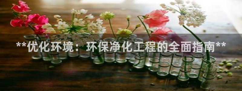 彩名堂怎么选稳定计划产品：**优化环