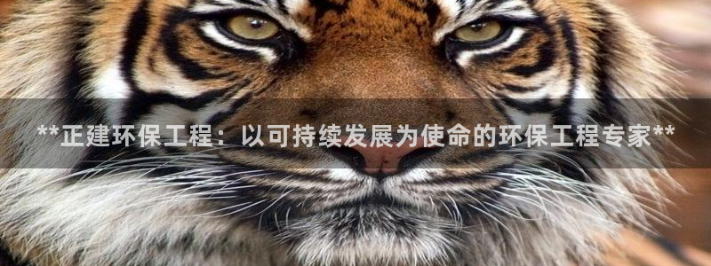 彩名堂最新免费计划官网：**正建环保