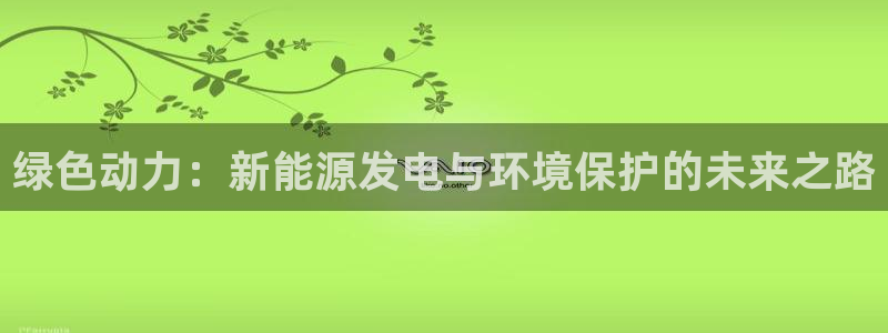 彩名堂官网2：绿色动力：新能源发电与