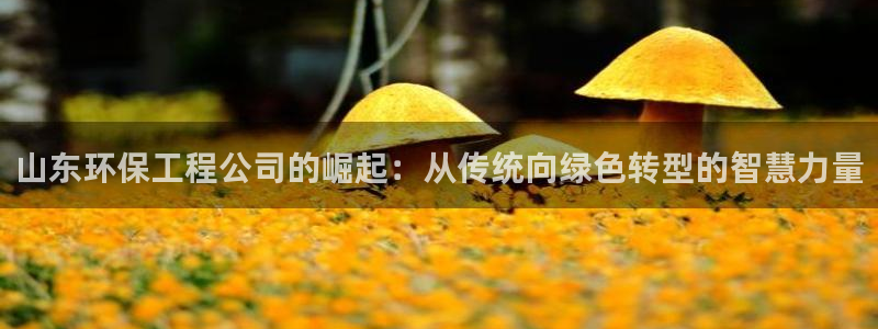 正规彩名堂官网计划01：山东环保工程