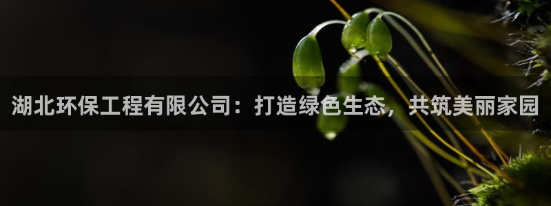 彩名堂客户端是永久免费吗：湖北环保工程有限公司：打造绿色生态，共筑美丽家园
