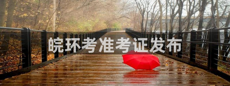 彩名堂安卓客户端官网下载：皖环考准考